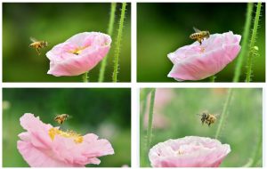 短视频拍摄手法有哪些？短视频拍摄技巧有哪些？