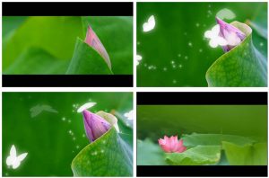 抖音剪映怎么为短视频添加酷炫的特效？图文教程