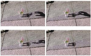 抖音剪映如何制作出神入化的影子效果？