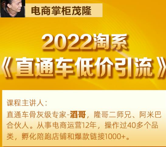 茂隆2022直通车低价引流玩法，教大家如何低投入高回报的直通车玩法