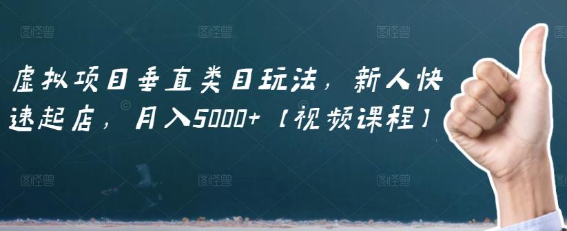 虚拟项目垂直类目玩法，新人快速起店，月入5000+