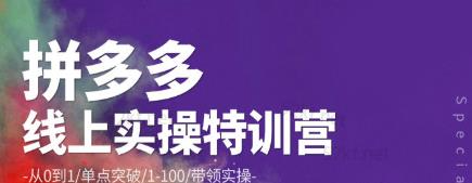 青云:拼多多运营实操特训营：从0到1/单点突破/1-100/带领实操价值2980元