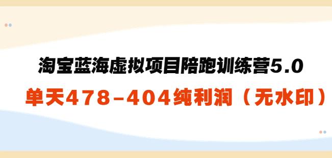 黄岛主：淘宝蓝海虚拟项目陪跑训练营5.0：单天478纯利润