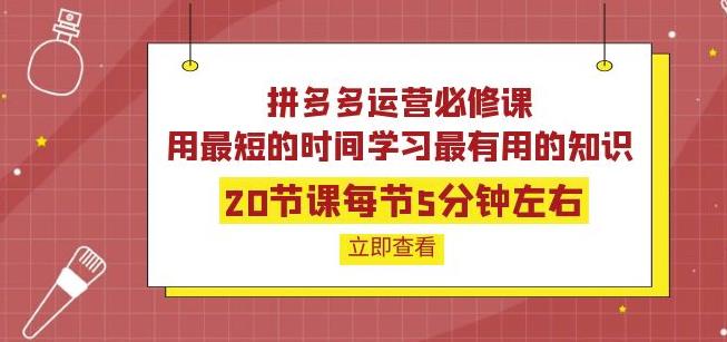 拼多多运营必修课：20节课每节5分钟左右，用最短的时间学习最有用的知识