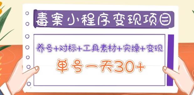 森罗万项毒案小程序变现项目：养号+对标+工具素材+实操+变现，单号一天30+