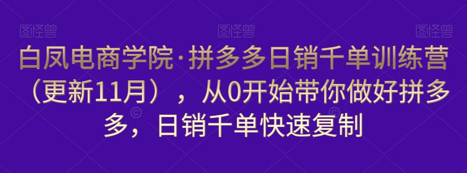 白凤电商学院·拼多多日销千单训练营（更新11月），从0开始带你做好拼多多，日销千单快速复制