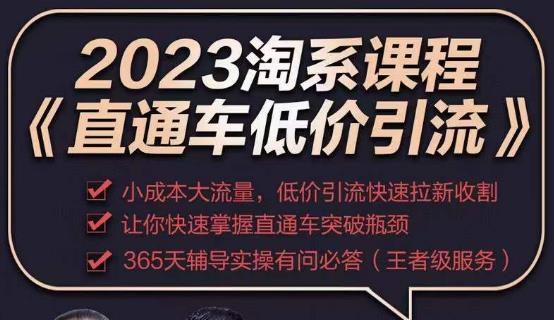 2023直通车低价引流玩法课程，小成本大流量，低价引流快速拉新收割，让你快速掌握直通车突破瓶颈