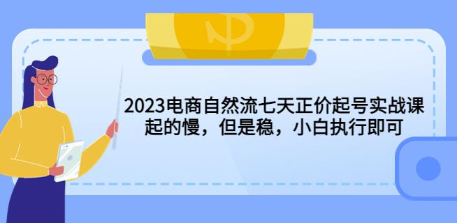 2023电商自然流七天正价起号实战课：起的慢，但是稳，小白执行即可