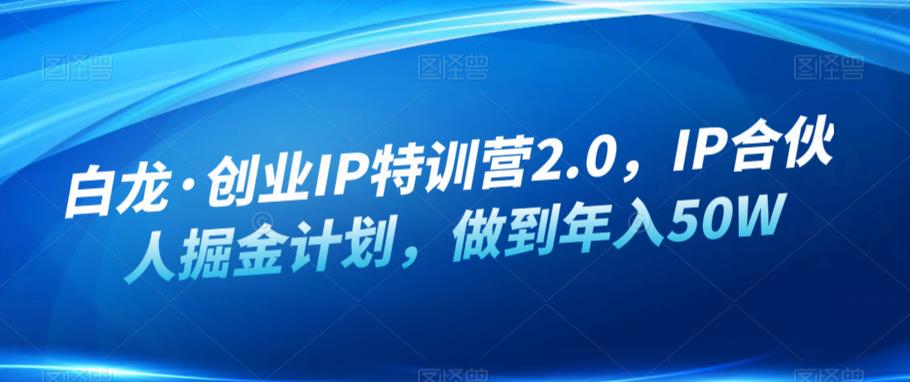 白龙·创业IP特训营2.0，IP合伙人掘金计划，做到年入5W