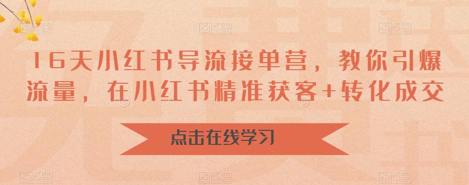 16天小红书导流接单营，教你引爆流量，在小红书精准获客+转化成交