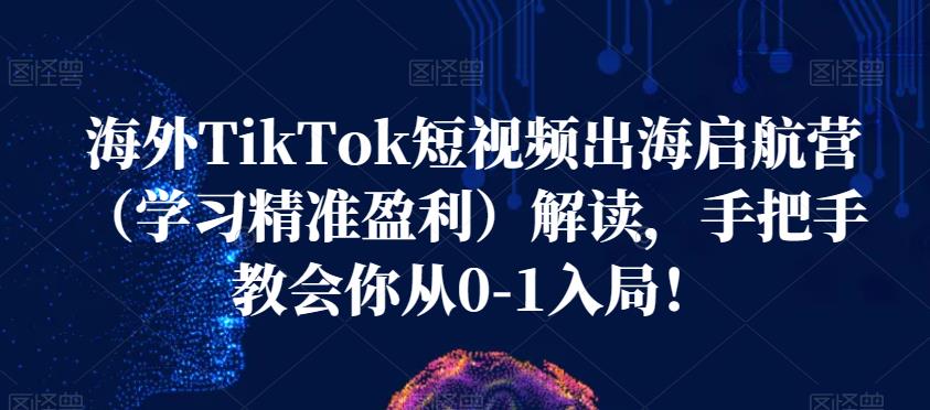 海外TikTok短视频出海启航营（学习精准盈利）解读，手把手教会你从0-1入局