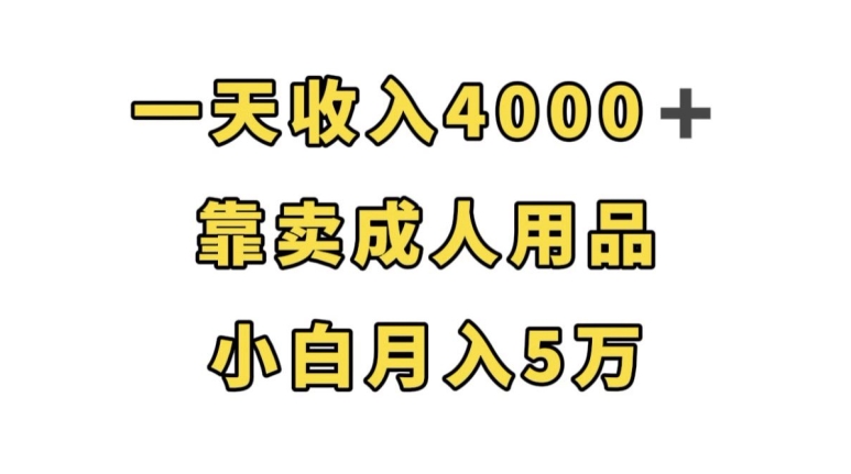 一天收入4000+，靠卖成人用品，小白轻松月入5万【揭秘】