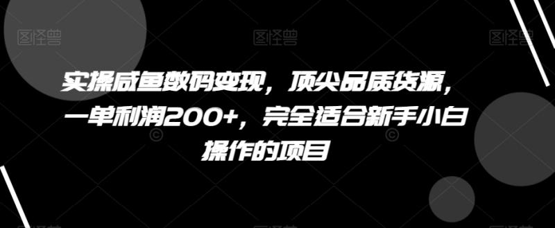 实操咸鱼数码变现，顶尖品质货源，一单利润200+，完全适合新手小白操作的项目【揭秘】