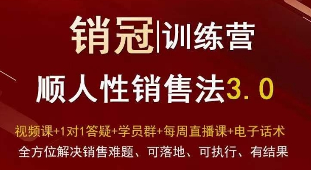 销冠训练营3.0之顺人性销售法，全方位解决销售难题、可落地、可执行、有结果