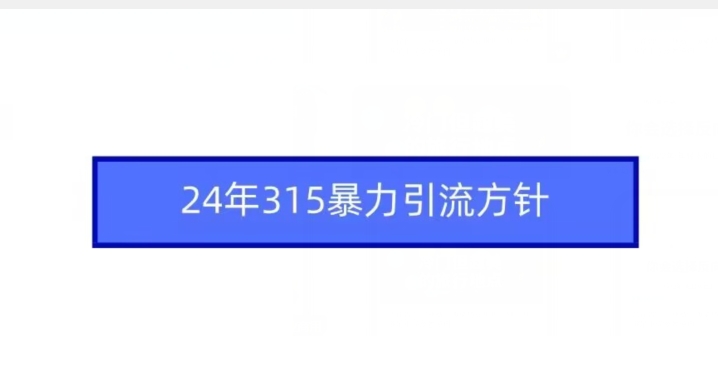 24年315暴力引流方针 今年315严打什么