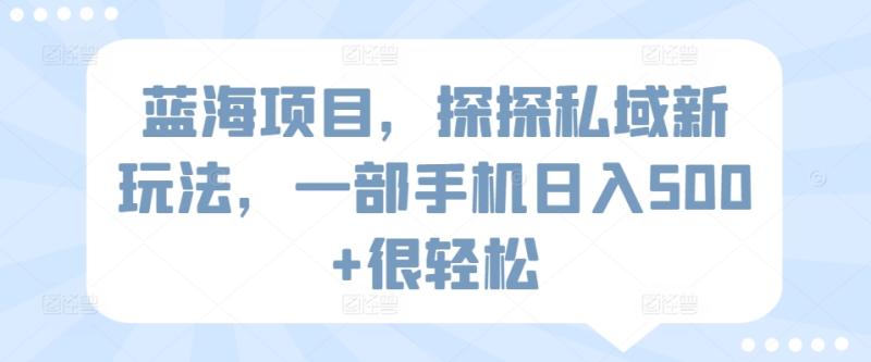 探探私域新玩法，一部手机日入500+很轻松【揭秘】