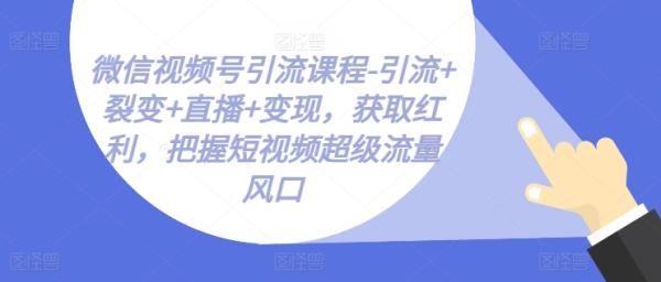 微信视频号引流课程-引流+裂变+直播+变现，获取红利
