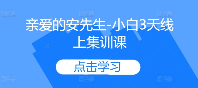 亲爱的安先生-小白3天线上集训课 网创项目商城