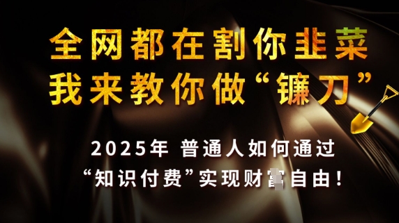 全网都在割你韭菜，我来教你做镰刀，2025普通人如何通过知识付费【揭秘】