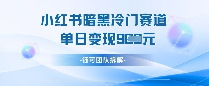 小红书冷门”暗黑”赛道，单日收益多张 小红书赛道