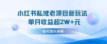 小红书私域项目新玩法，单月变现过W+ 星辰私域小红书陪跑是骗局吗