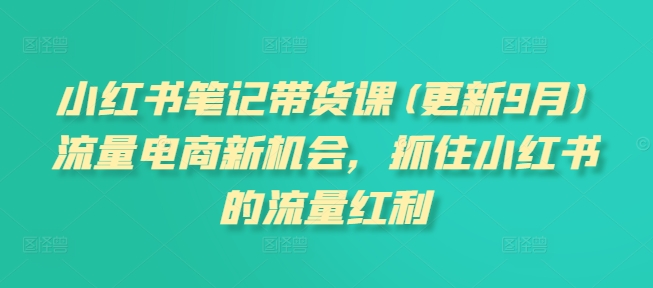 小红书笔记带货课【更新25年4月更新】流量电商新机会，抓住小红书的流量红利