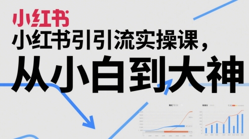 小红书引流实操课，从小白到大神 小红书怎么做推广引流