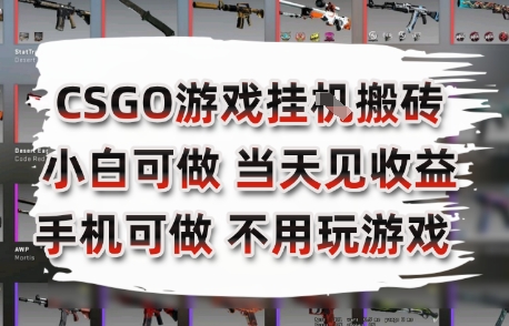CSGO游戏挂G搬砖，小白纯手机即可操作，不用电脑打游戏，副业网创项目【揭秘】
