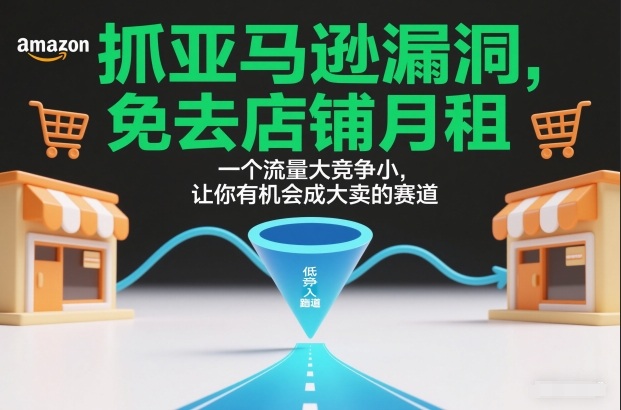 抓跨境电商漏洞，免去店铺月租，一个流量大竞争小，让你有机会成大卖的赛道